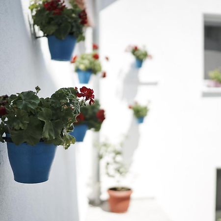 Hotel Pansion Rose Mostar Exterior foto