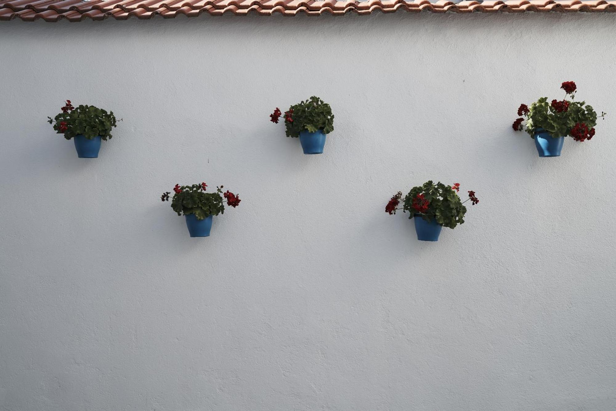 Hotel Pansion Rose Mostar Exterior foto